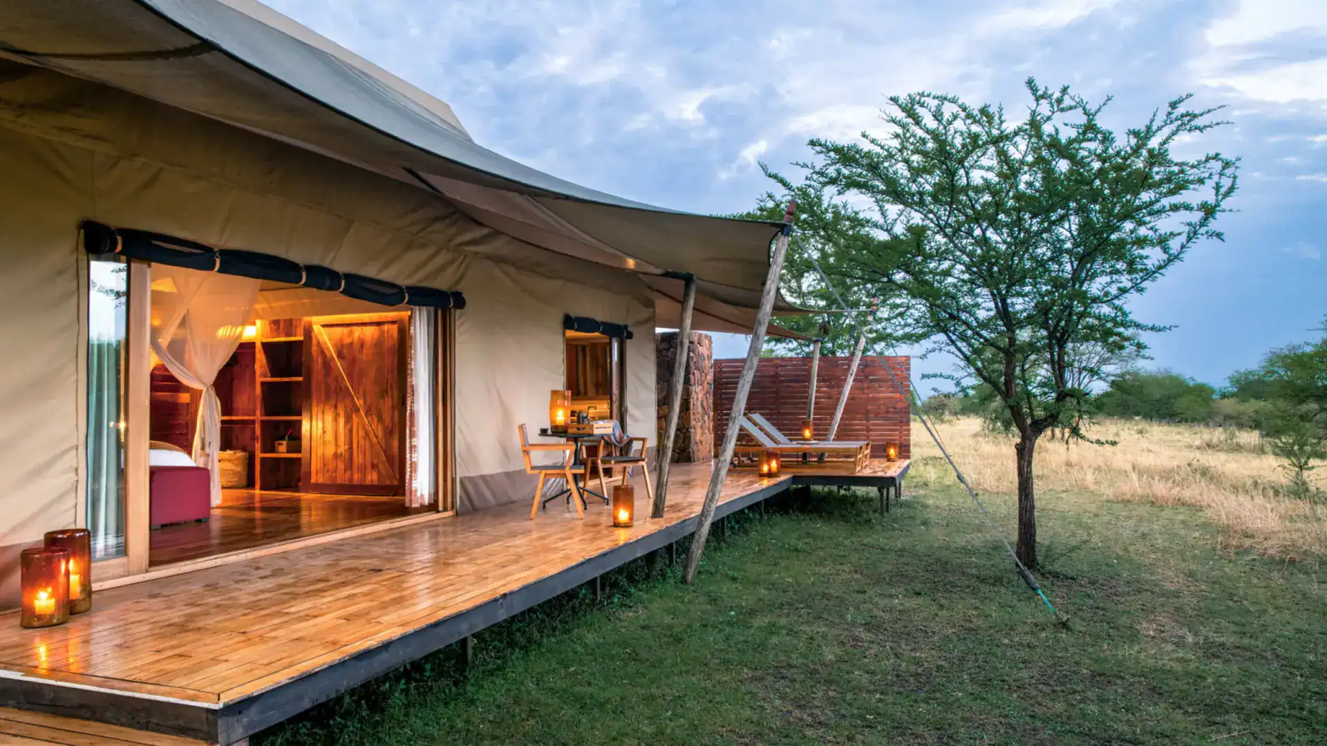 Honeymoon Safari